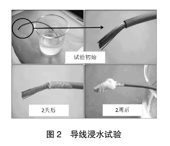 圖2-導線浸水試驗